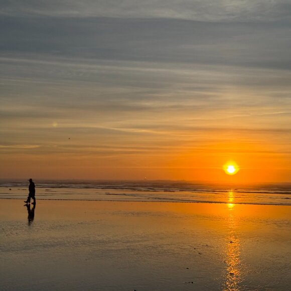 NWT Banana Republic Lightweight Brown Leather Braided Belt in Women's Large - Picture 9 of 9